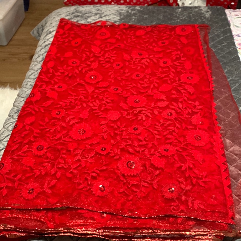 Indian red net saree